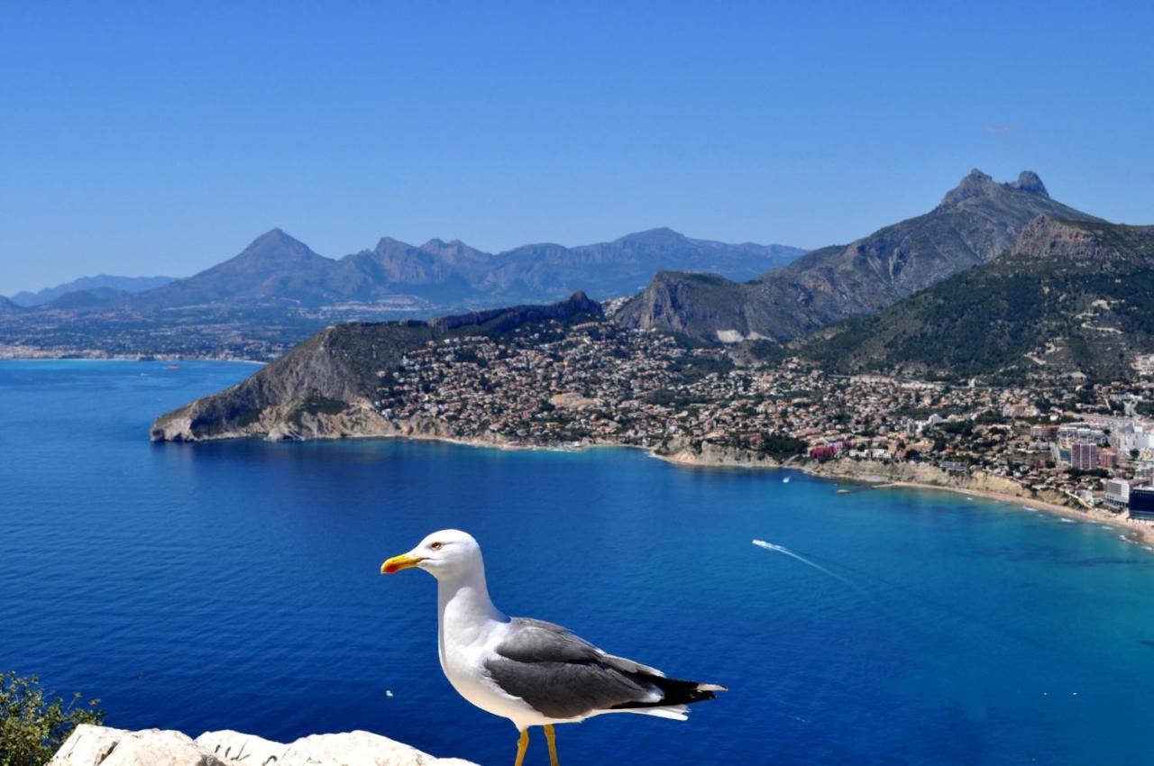 Maryvilla 71 Calpe Eksteriør bilde